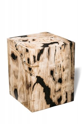 Petrified wood decorative cube