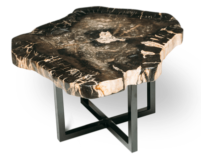 Petrified wood coffee table