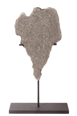 Meteorite Taza (NWA 859)