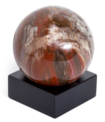 Petrified wood sphere