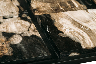 Petrified wood coffee table