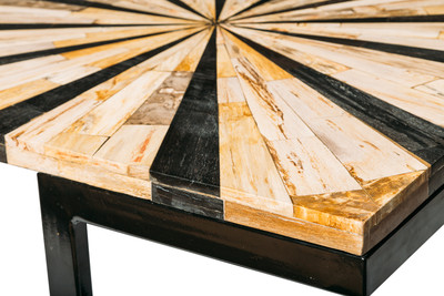 Petrified wood coffee table