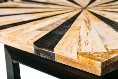 Petrified wood coffee table