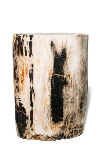 Petrified wood decorative cube