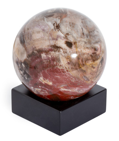 Petrified wood sphere
